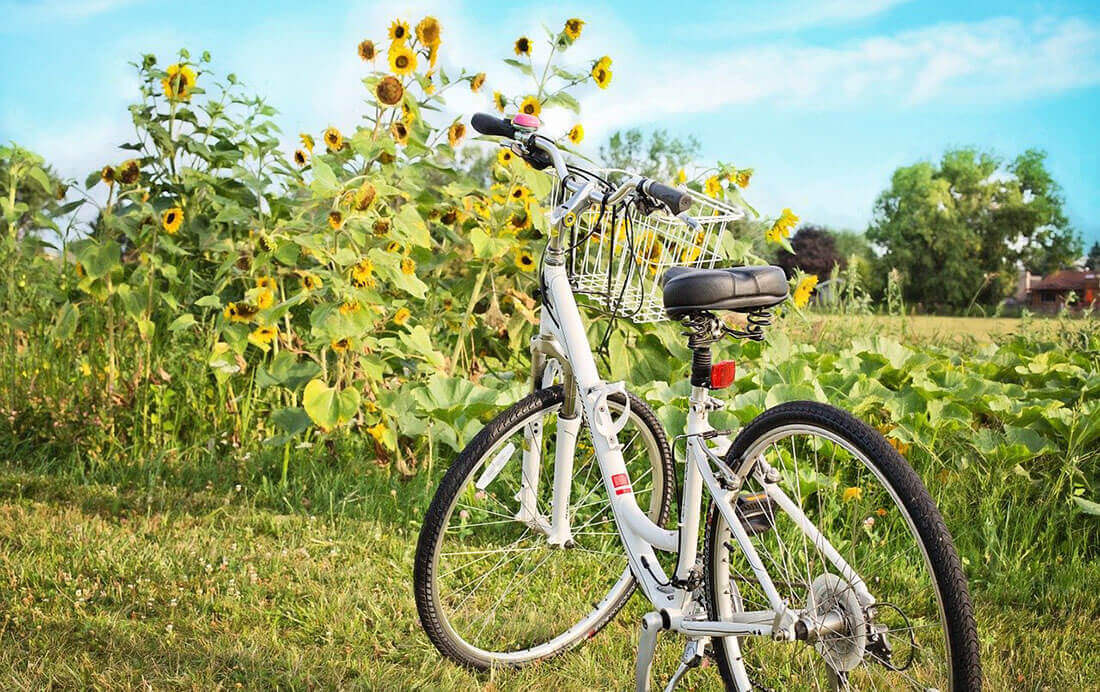 Ontdek jouw eigen fietsroute Ontdek jouw eigen fietsroute