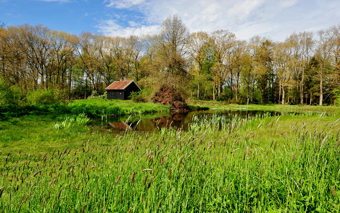 Arboretum Poort Bulten in De Lutte Arboretum Poort Bulten in De Lutte