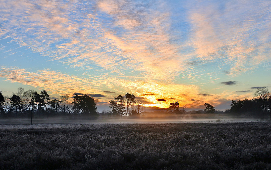 Haaksbergerveen Haaksbergerveen
