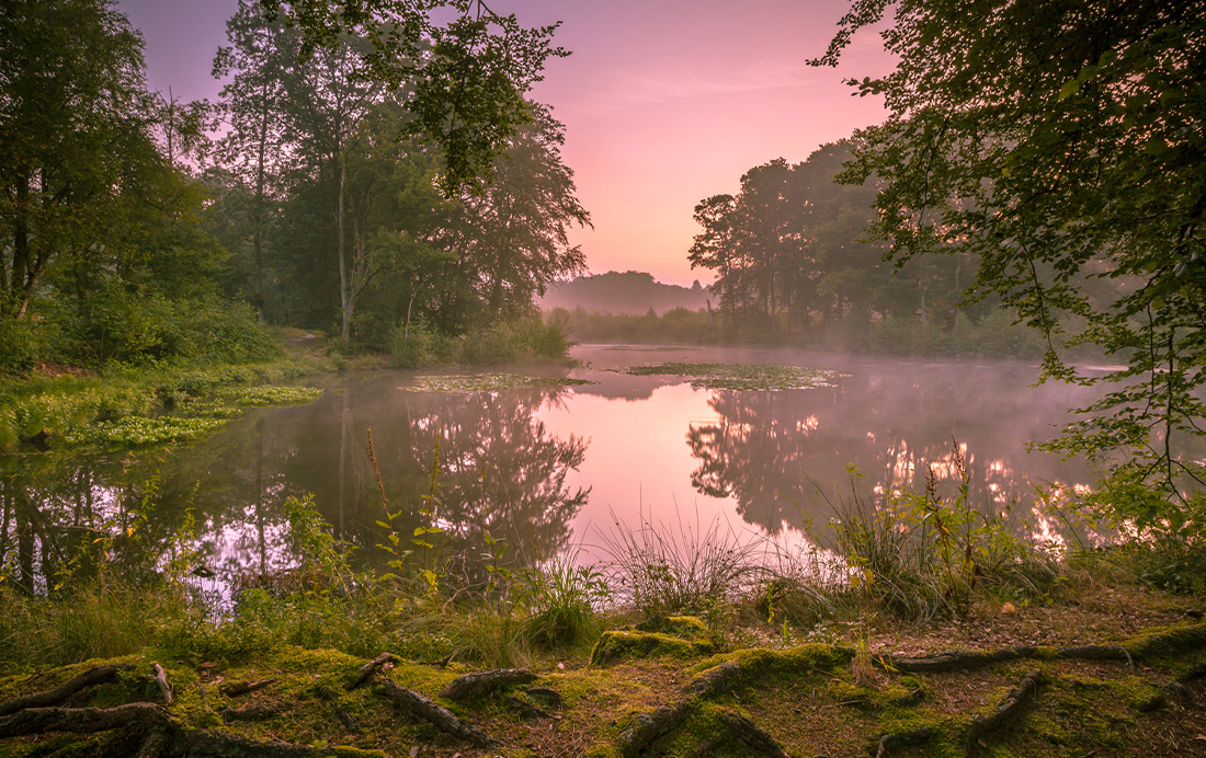 Het Springendal Het Springendal