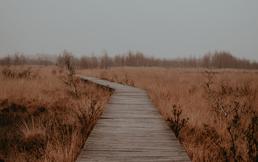 Vlonderpad in Haaksbergen Vlonderpad in Haaksbergen