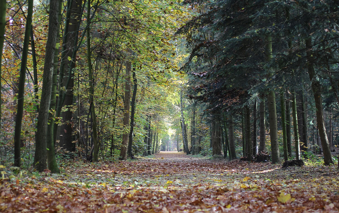 Verborgen plekjes op de Veluwe