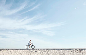 Dijkjesroute langs het Zwin Dijkjesroute langs het Zwin