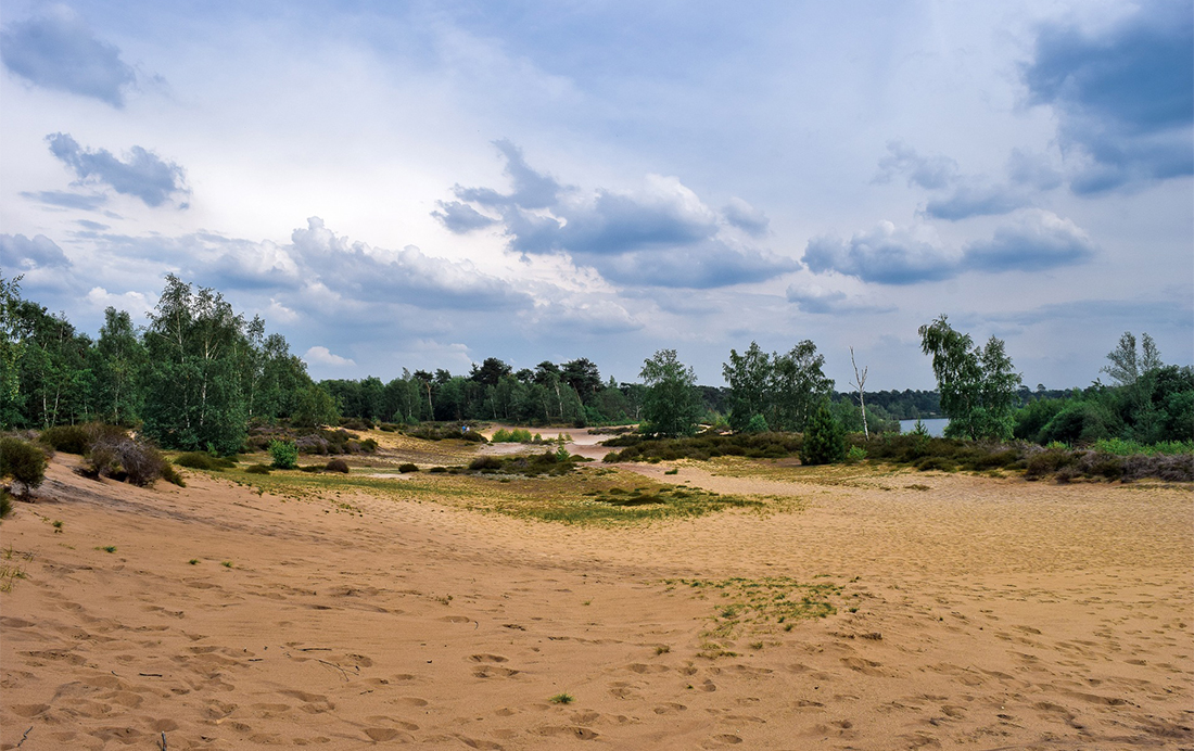 Afferdense Duinen