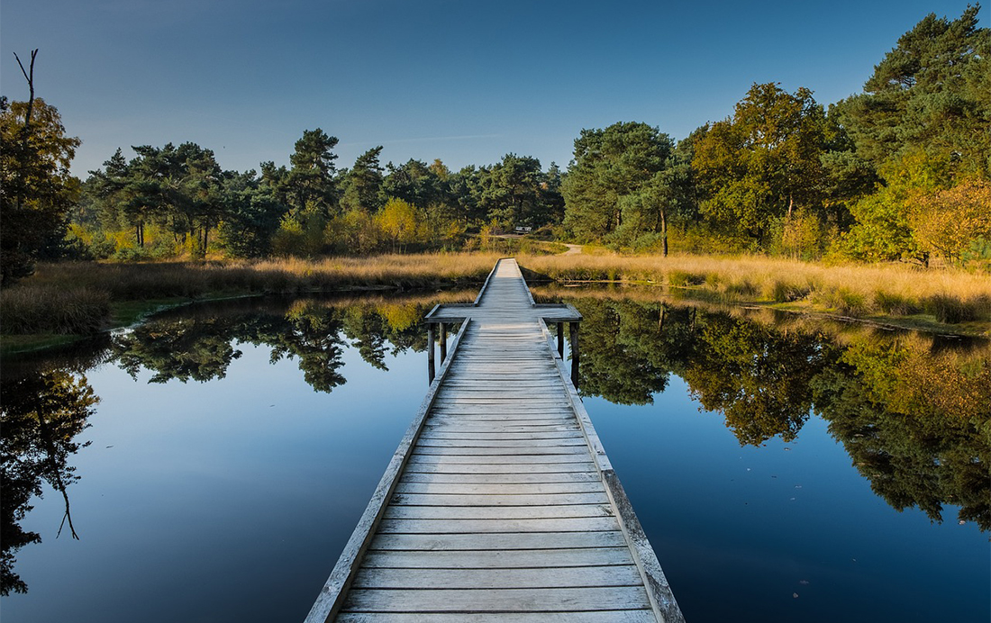 Nationaal Park De Maasduinen