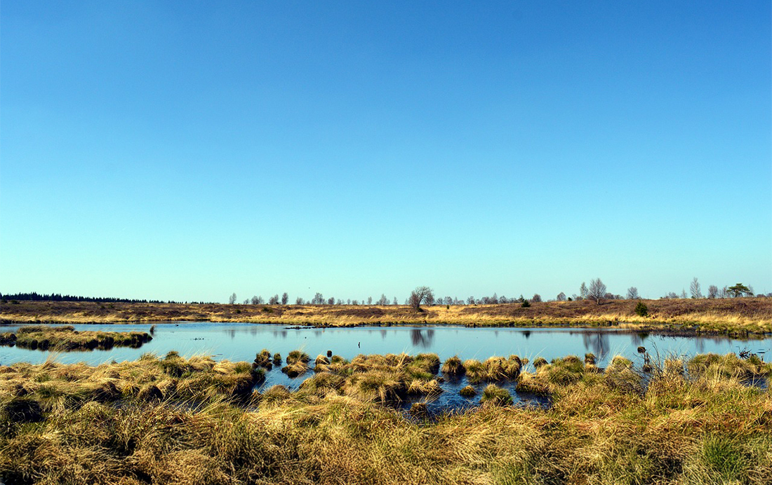 Fochteloërveen op een heldere winterdag Fochteloërveen op een heldere winterdag