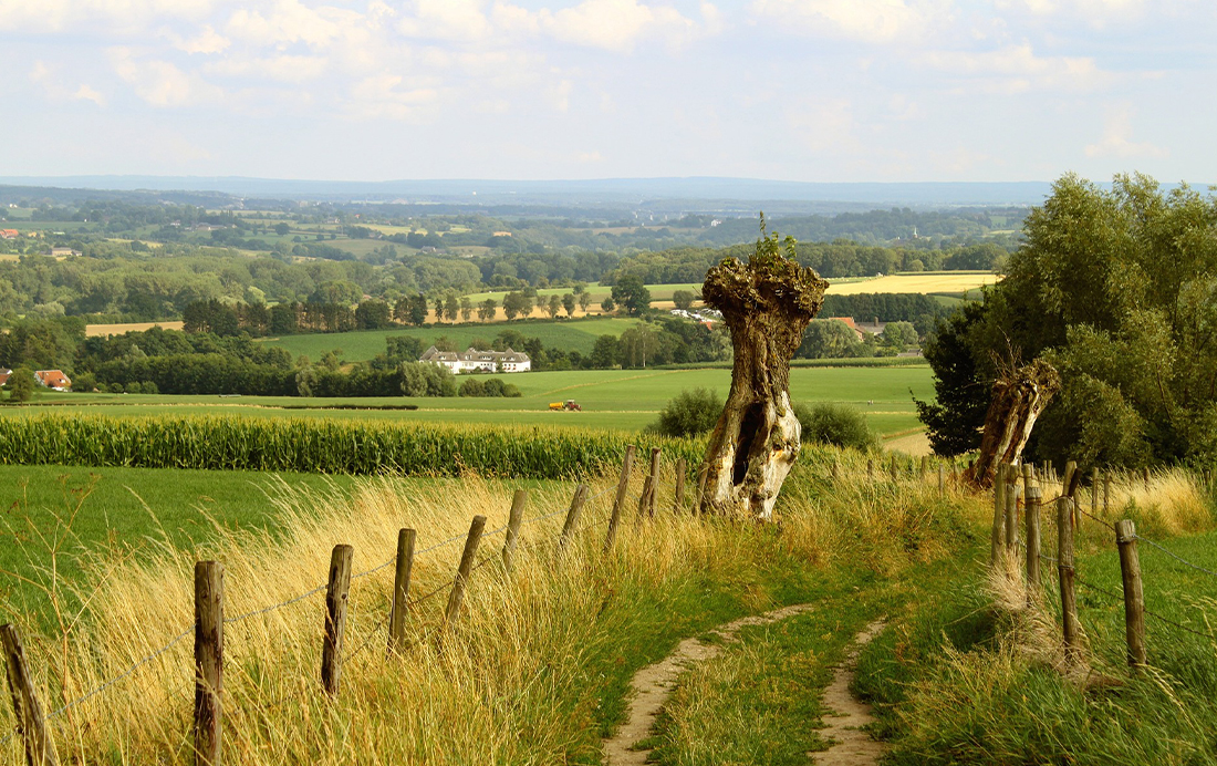 Drielandenpunt Zuid-Limburg