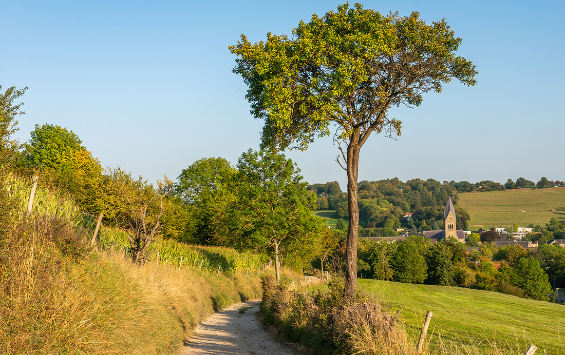 Fietsroute rondom Gulpen