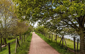 Fietsrouterivierenland Fietsrouterivierenland