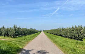 FruitigeFietsrouteInDeBetuwe FruitigeFietsrouteInDeBetuwe