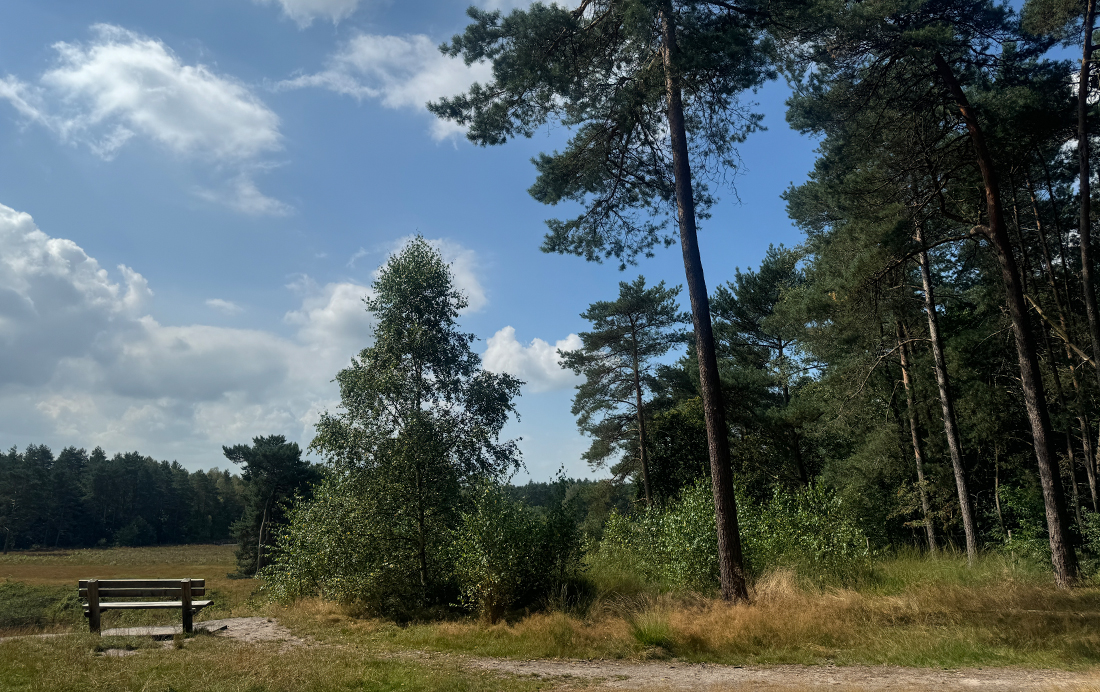 Bossen bij Zeist en Austerlitz