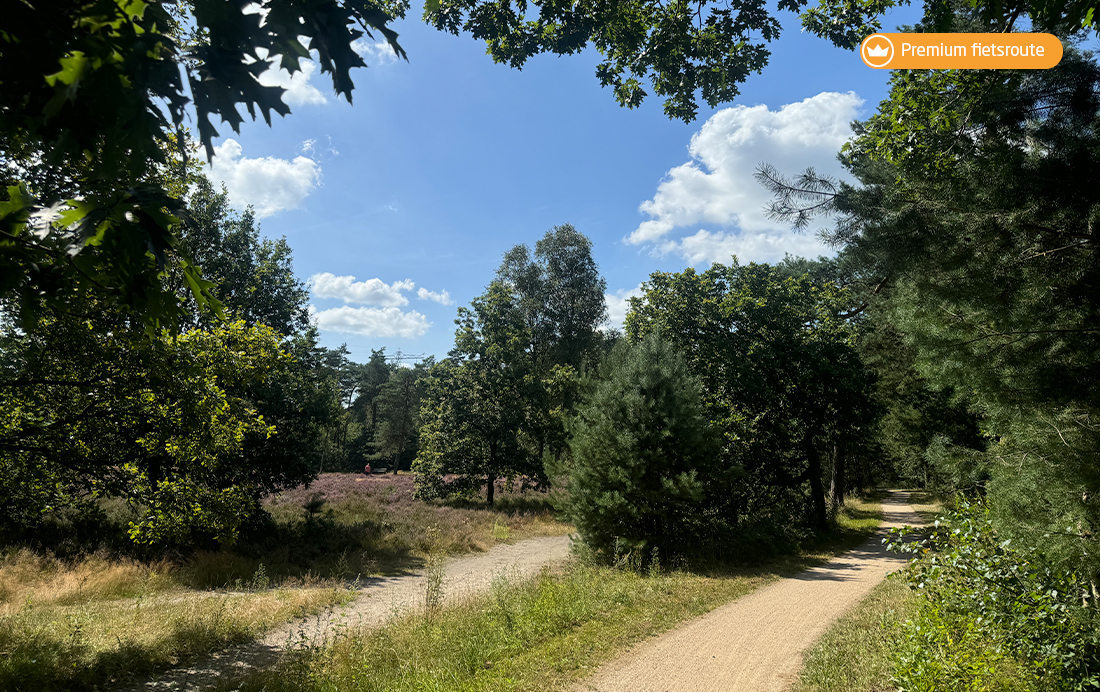 Premium fietsroute Verborgen vennetjes en kleine kronkelwegen