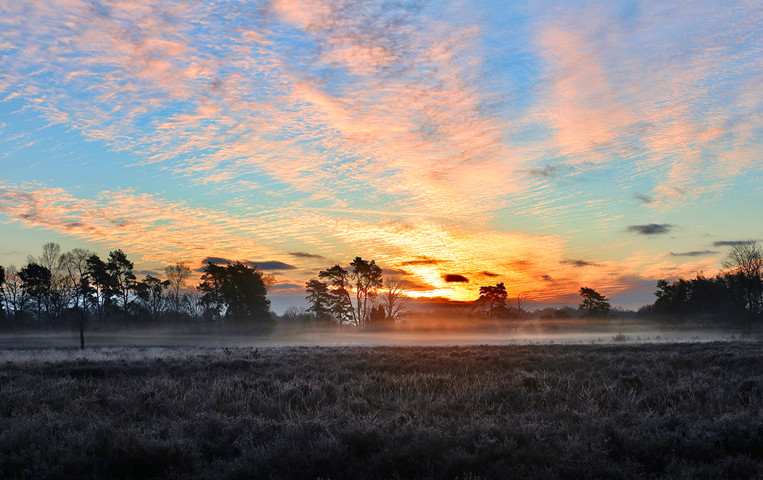 Buurserzand en Haaksbergerveen