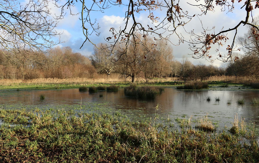 De parels van Mooi-Kennemerland