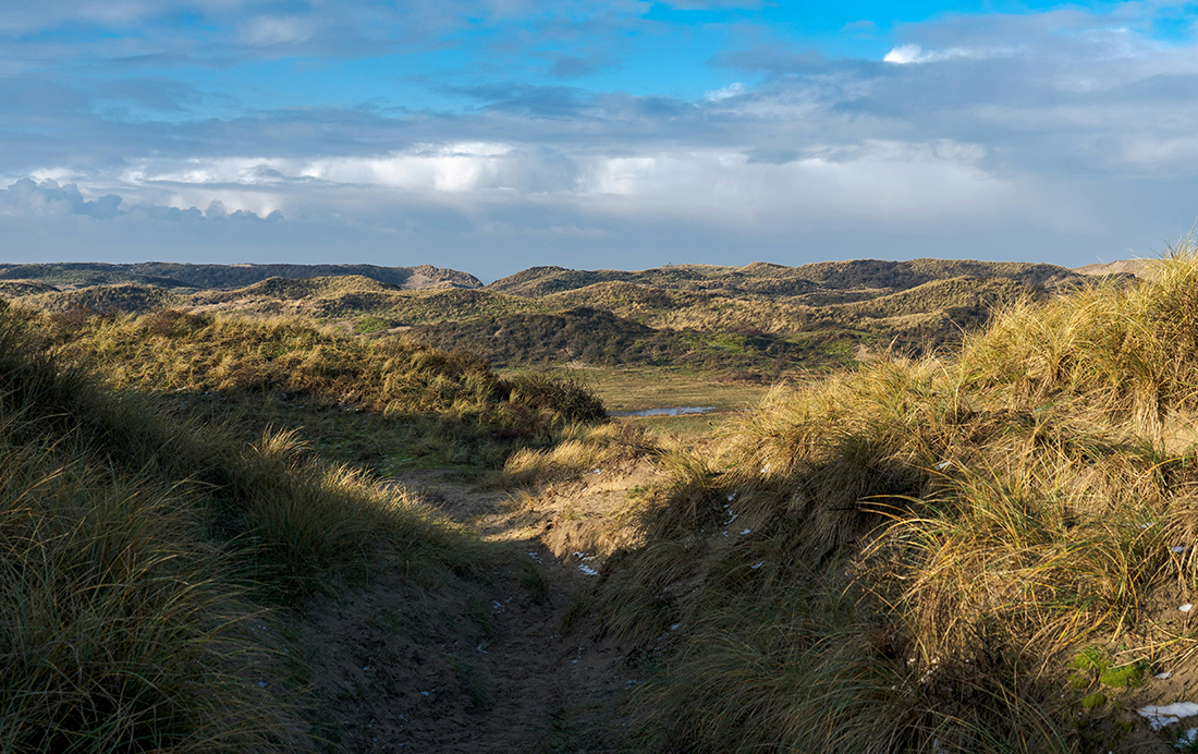 Duinen Noord-Holland