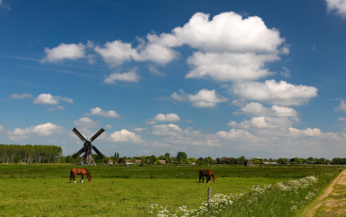 Land van Heusden en Altena