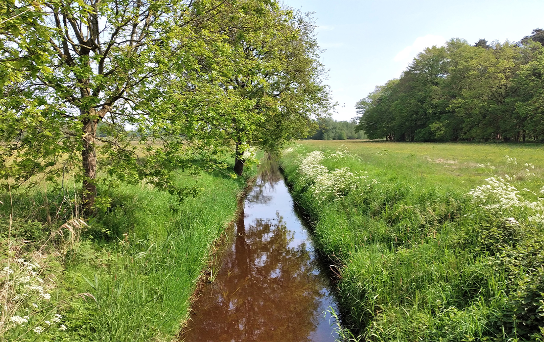 Premiumroute Rauw veen bij Rucphen