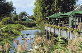 RestaurantdeKraai RestaurantdeKraai