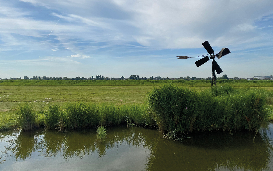 Wormer- en Jisperveld