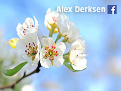 uurtje-slingeren-langs-de-linge_Alex_Derksen_2