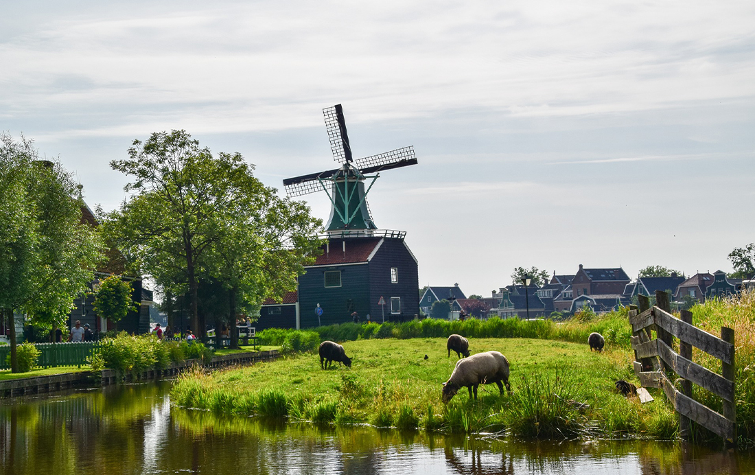 Hollands landschap op de Zaanse Schans